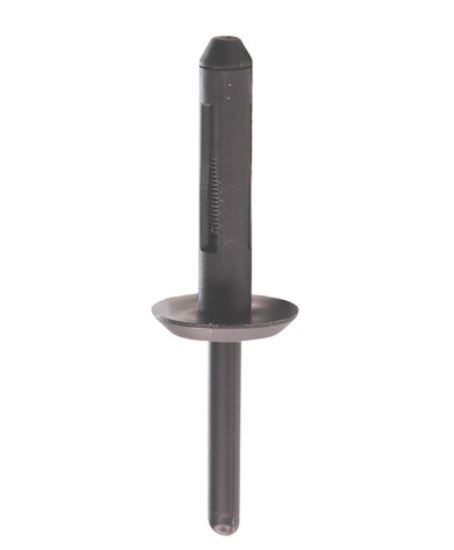 RG 130340 Plastnagle Ø 6,3- 6,8 mm