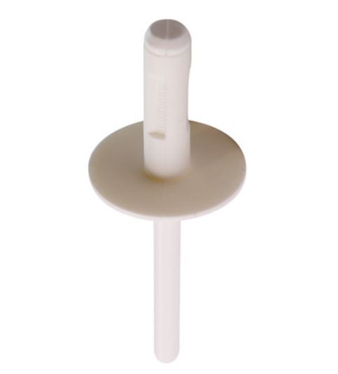 RG 130343 Plastnagle Ø 6 mm