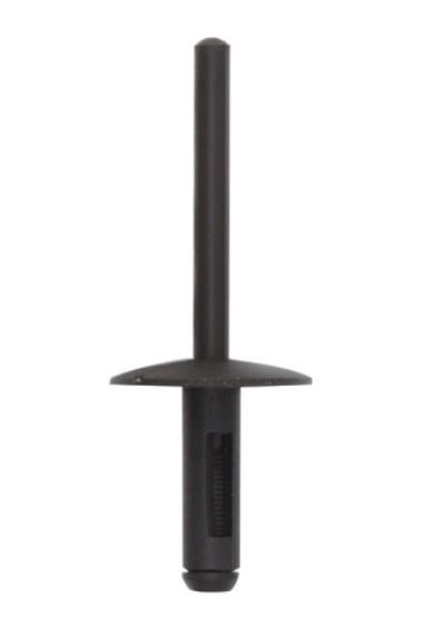 RG 12684 Plastnagle Ø 6 mm